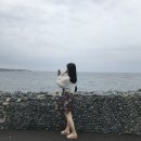 공천포 민박 | [제주도 뚜벅이여행] 2박3일 서귀포 여행 코스