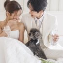 키노스튜디오 이미지