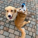 다니엘농장 이미지