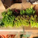 권관농장 이미지