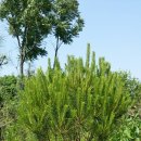 여주-0102 이미지