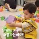 황금알낳는꼬꼬 | 동탄 롯데백화점 문화센터 돌아기 가을학기 소풍가는하마