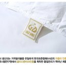 멜로유