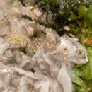 보성로뎀 이미지