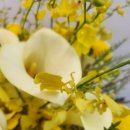 수원시 팔달구 창룡대로 이미지