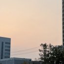 [언제든학교]시 읽는 즐거움 | 문화원,다다르다,낙조,진로집,뮤제베이커리,블루본즈베이크플레이스,파이가든,프렐류드샵,모도시,미쇼쿠)