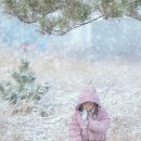 씨사이드파크 관리사무소 네이버블로그