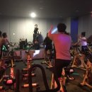 조현진 GYM 이미지
