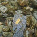 청정마을세탁 이미지