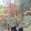 칡캐는오미자농부 이미지