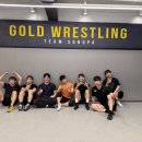골드 레슬링 클럽 이미지