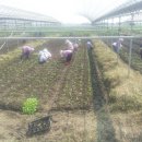 미성동-28 이미지