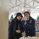 웅비목장 이미지