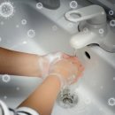 온여고길 이미지