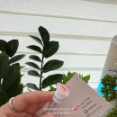 로에타