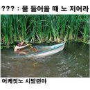 시리폰
