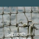 달달한봄날