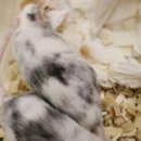 성만농장 이미지