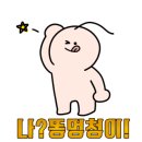 도도한강아지 이미지