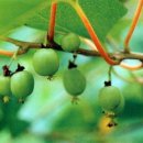 종로-종로-종로-종-251 이미지