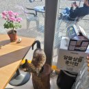 이마트24 아산탕정파크점