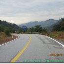 평택고래농장 | 천등지맥 2구간(녹재-옥녀봉-시루봉(740m)-오청산-다릿재).