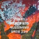 천하제일횟집 네이버블로그