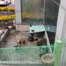 키즈위즈유치원 이미지