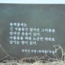 유연선「동백꽃」 이미지