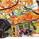 장터식육실비식당 이미지