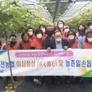 서대전농협 이미지