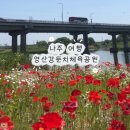 선소체육공원 | 나주 가볼만한곳, 영산강둔치체육공원 빨간 꽃물결이 예쁜 꽃양귀비 명소