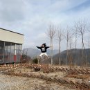 팬션 패트로누스 이미지