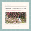 서울대공원 그라운드플래닛 장미축제 주차 꿀팁