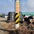 포동이농장 | 대구 근교 고령 아이랑 가볼만한 딸기 농장 체험 샹큼딸기네농장