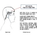 하늘의기세상