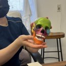 클리니스킨 | 강남에스테틱 논현역 윤곽관리 클리니스킨 후기