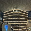 별마당 작은도서관 | [스타필드 코엑스몰 데이트 코스 추천] 혼자카페 모두 찰떡! 별마당 도서관 방문 후기📚