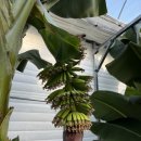 갱이농장 이미지