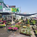 그린비화원