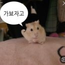 홍보성 이미지