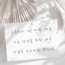 린지뷰티 이미지