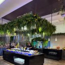 뉴궁전컨벤션웨딩뷔페 | 발산 더뉴컨벤션 웨딩 뷔페 시식 후기