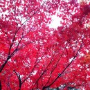 다리안 야영장 이미지