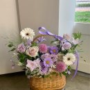 더피우리 이미지