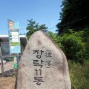 팽나무 티스토리