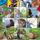 자연동화 이미지