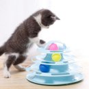 광주 고양이 분양 냥블리 광주점 이미지