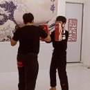 MMA주짓수 이미지