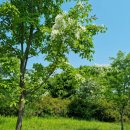 강변이야기길(물소리길 3코스) 이미지